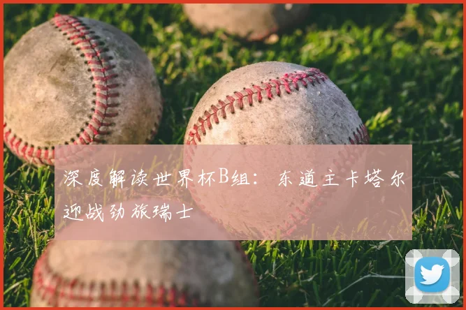 深度解读世界杯B组:东道主卡塔尔迎战劲旅瑞士